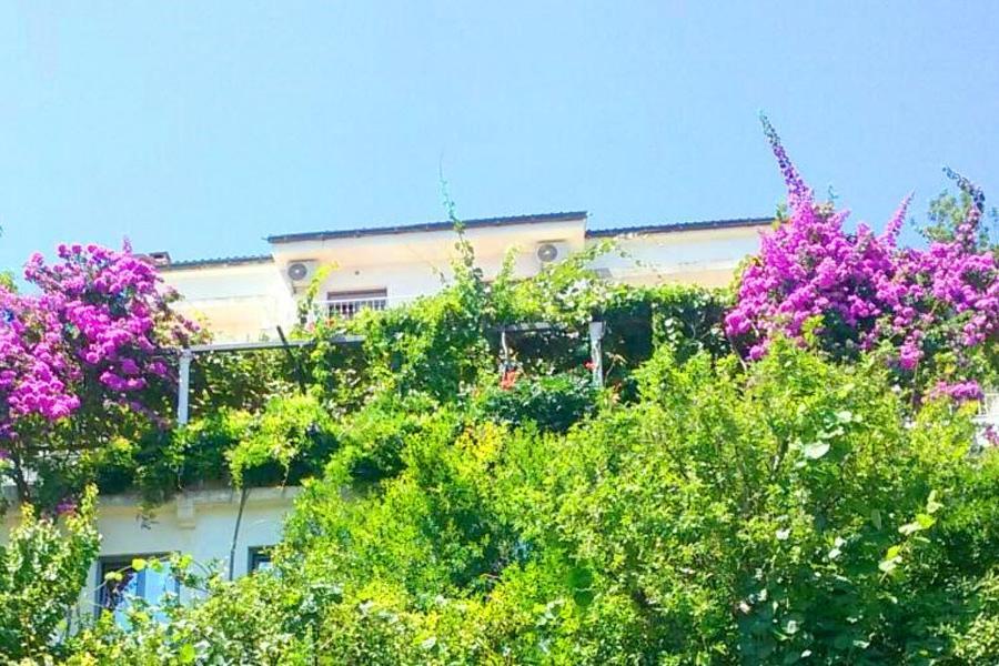 Guest House Madra Budva Extérieur photo